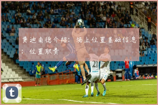费迪南德介绍：场上位置基础信息：位置职责