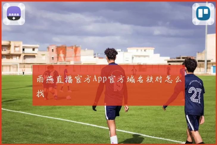 雨燕直播官方App官方域名核对怎么找