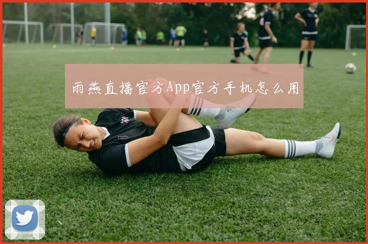 雨燕直播官方App官方手机怎么用