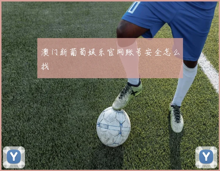 澳门新葡萄娱乐官网账号安全怎么找